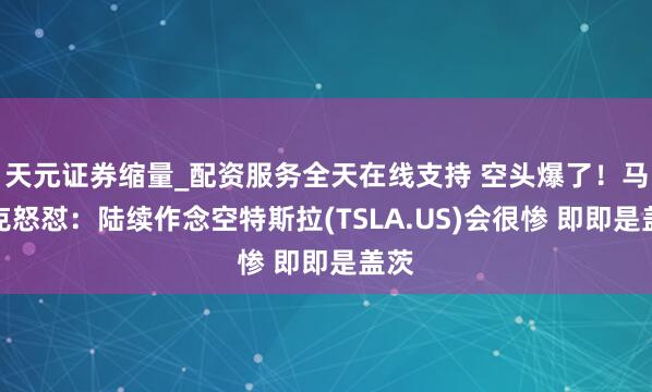 天元证券缩量_配资服务全天在线支持 空头爆了！马斯克怒怼：陆续作念空特斯拉(TSLA.US)会很惨 即即是盖茨