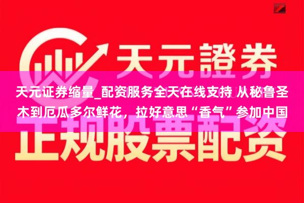 天元证券缩量_配资服务全天在线支持 从秘鲁圣木到厄瓜多尔鲜花，拉好意思“香气”参加中国