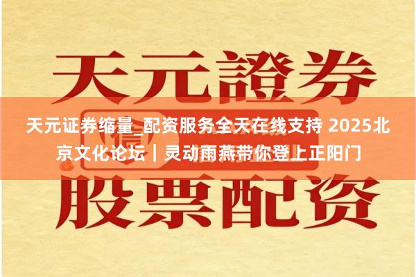 天元证券缩量_配资服务全天在线支持 2025北京文化论坛｜灵动雨燕带你登上正阳门