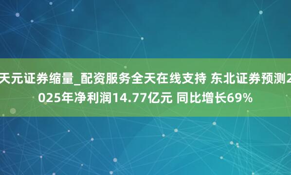天元证券缩量_配资服务全天在线支持 东北证券预测2025年净利润14.77亿元 同比增长69%