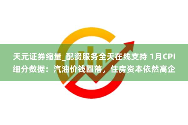 天元证券缩量_配资服务全天在线支持 1月CPI细分数据：汽油价钱回落，住房资本依然高企